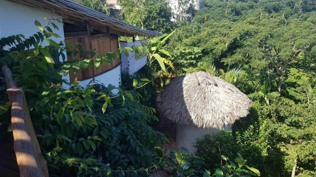 Bamboojam Villa Las Terrenas Buitenkant foto